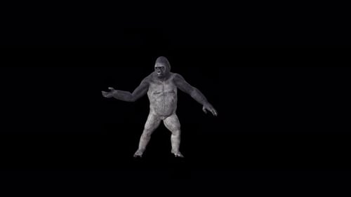Danse de bébé Gorilla 4K Ice Ice