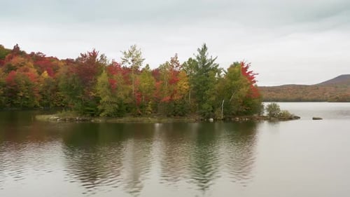 Aerial View Over the Marshland Surrounded with Picturesque Trees