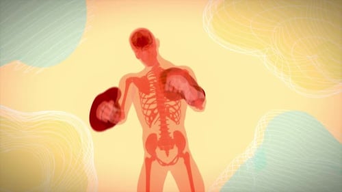Translucent Boxing Skeleton Animation for Health and Sports Content