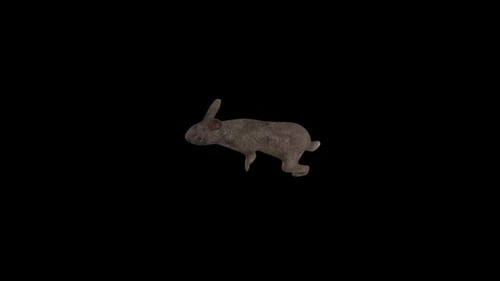 Rabbit Run Top View