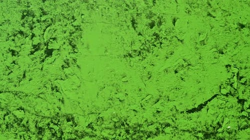 Fließendes Teichwasser mit Grünalgentextur
