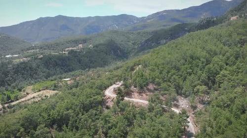 Empty car road in green forest with mountain peaks on background.
