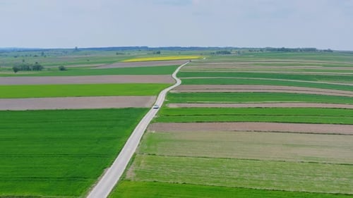 Rural Road Trip: Car Drives Through Vast Farmland