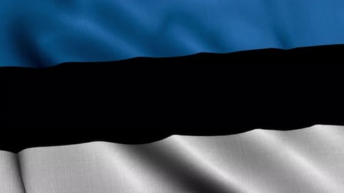 Seamless Loop of Waving Estonia Flag with Fabric Texture