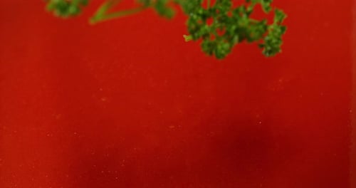 Petersilie, Petroselinum crispum, fällt in Tomatensaft, Zeitlupe 4K