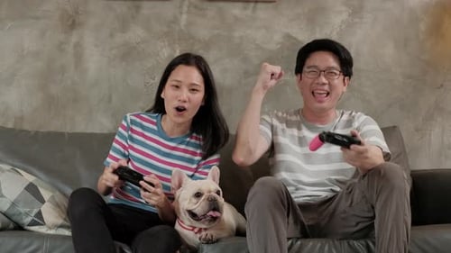 Couple playing video games with French bulldog