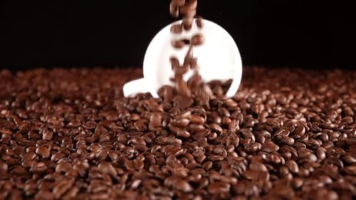 Kaffeebohnen fallen auf einen Haufen und eine weiße Tasse