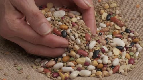 Beans and Lentils Mix Sorted by Hand