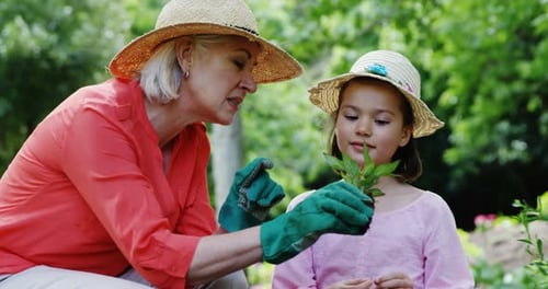Grandmother and granddaughter gardening in the park
