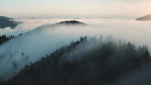 Dreamy Forest Mountains Emerge from Fog at Sunrise