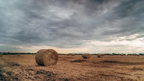 Montones redondos de paja en Timelapse de campo segado