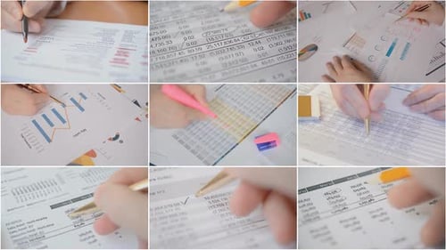 Analyzing Financial Documents and Reports Montage