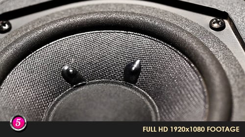 Woofer 12