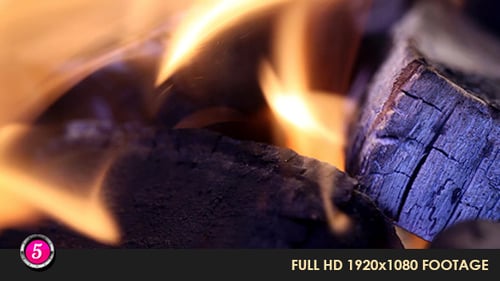 Burning Flames Engulfing Wood in a Close Up Shot