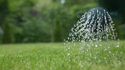 Watering in the Garden 36
