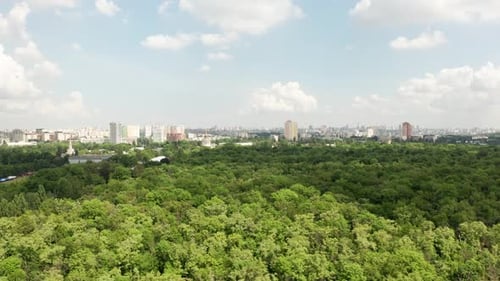 Zone ville Green Forest