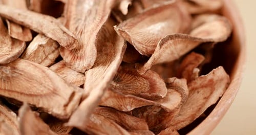 Dried burdock