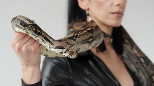 Vue rapprochée du gros serpent sur le cou d'une femme