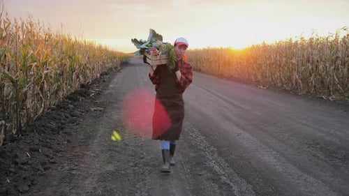 Farmer Carrying Vegetables on Rural Farm Road at Sunrise