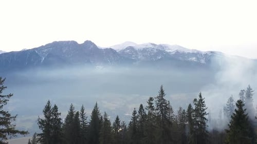 Pinienwälder und Berge