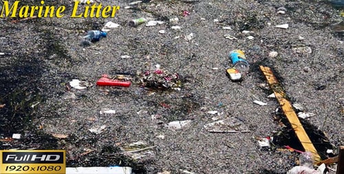 Détritus marins