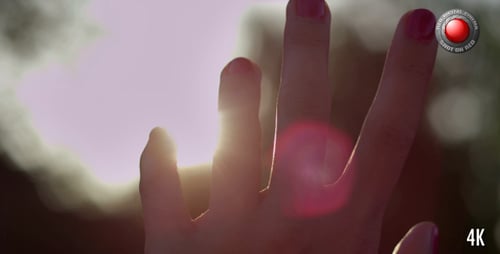 Hand in the Sun