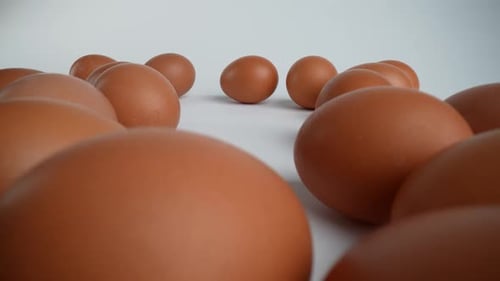 Rohe Eier 03