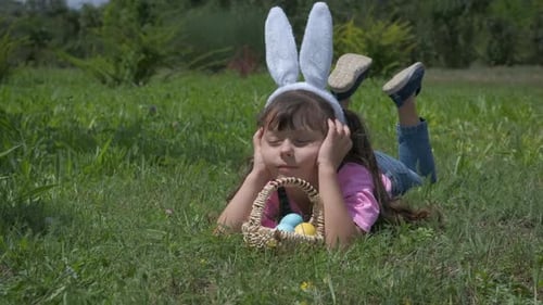 Osterhase auf dem Feld.