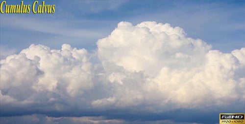Cumulus Calvus-Wolken