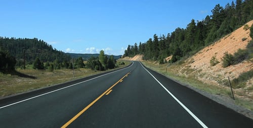 Driving Forest Road Full HD