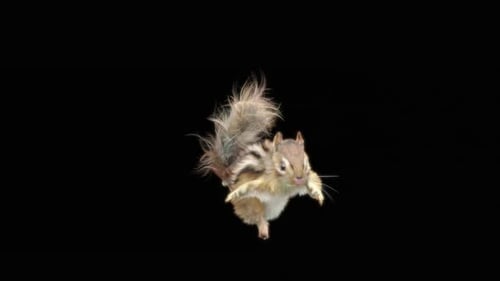 Chipmunk: Tanzen HD