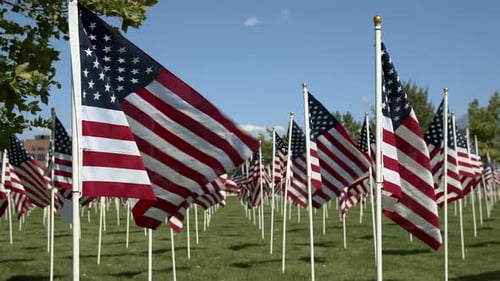 American Flags Fluttering in a Grassy Urban Setting
