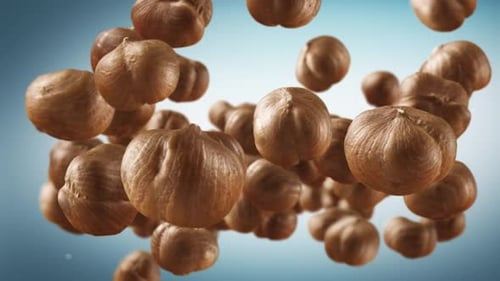 Close Up Shot of Group of Hazelnuts