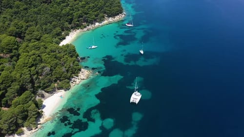 Sailboats, yachts and catamarans anchored on the shores with beach of the islands with vegetation in