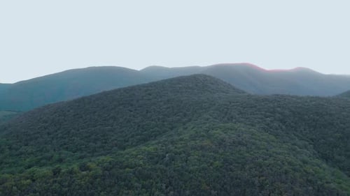 Montagnes avec des arbres verts pris à partir d'un Drone à vol d'oiseau