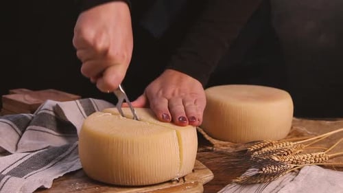 Women cut a wheel of fresh homemade cheese on a wooden board with a cheese knife close up
