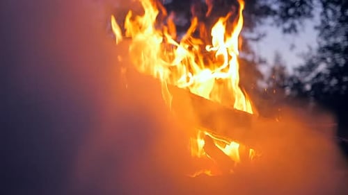 Fire Campfire Forest Nature Nigt