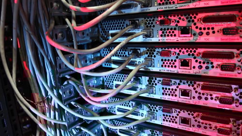 Network Cables Connected to Servers in Data Center