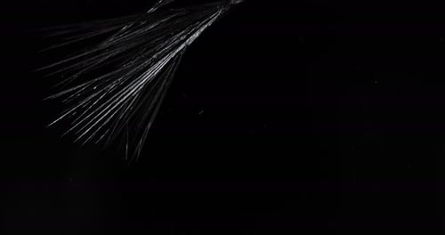 Crystal
