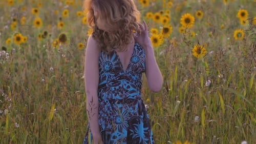 Young Attractive Woman with Red Hair and Blue Dress Walks in a Field of Sunflowers at Sunset