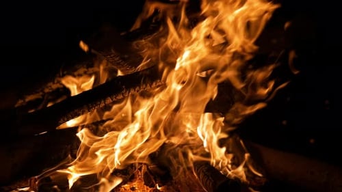 Camp Fire (4K)