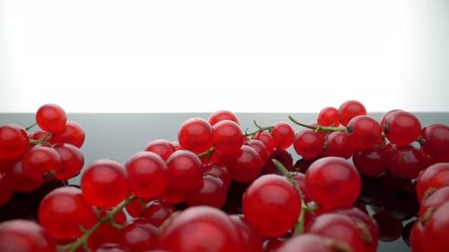 Shiny Red Currants on a Reflective Surface