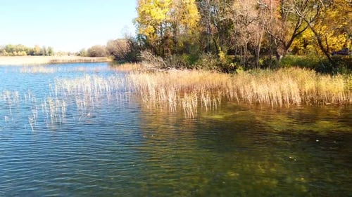 Scenic Autumn Lake With Colorful Trees Aerial View