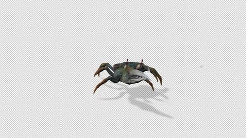 Crab Walk 2