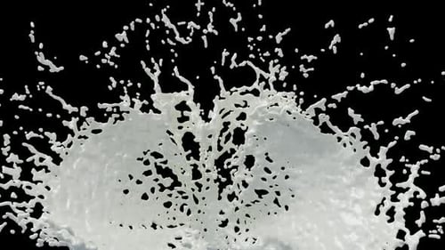 Milch 2 Hd
