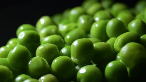 Fresh Green Peas