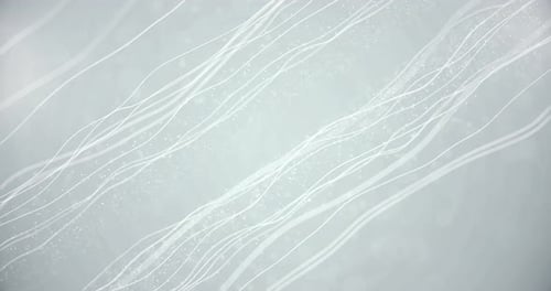 Clean Particles Background