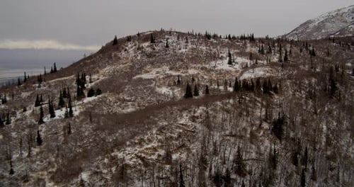Aerial helicopter shot of highway nestled in barren snowy forest, car drives past, drone footage