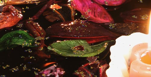 Candles and Dry Leaves on the Water 1