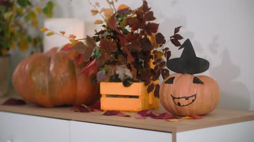 Halloween Decoration with Pumpkins and Fall Leaves